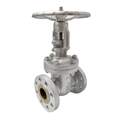 Cast Steel Gate Valve