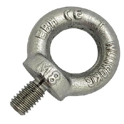 Stainless Steel Eye Bolt