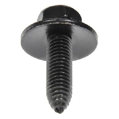 Body Bolts