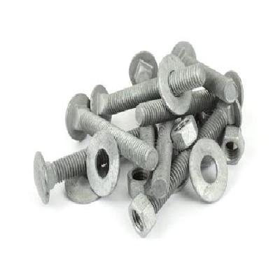 Galvanized Iron Nuts