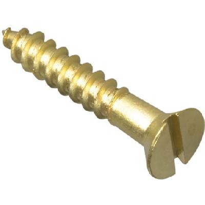 Slotted Raised Countersunk