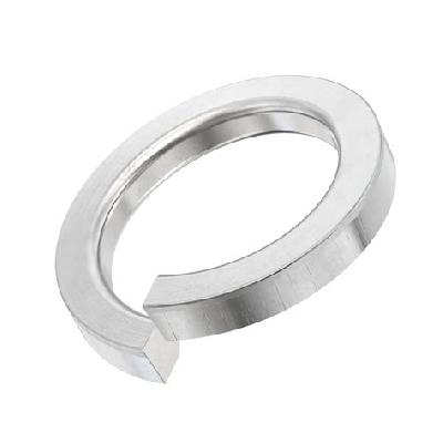 Stainless Steel Spring Washers