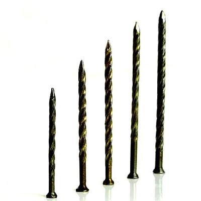 Stainless Steel Twisted Nails