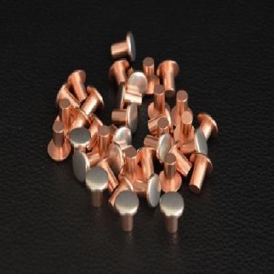 Solid Silver Contact Rivet