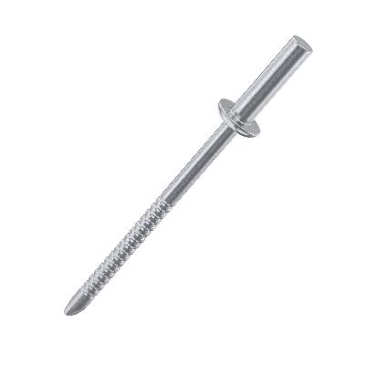 Stainless Steel Rivets