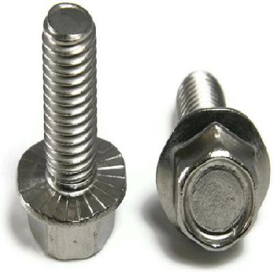 SS Hex Flange Bolt