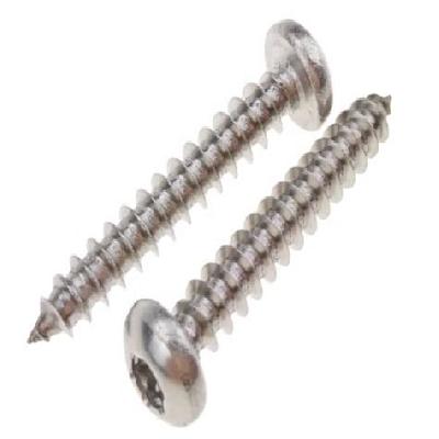 SS Socket Head Tapping Screw
