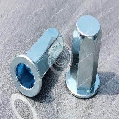 Close End Blind Rivet Nut