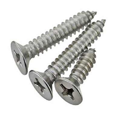 SS 202 CSK Self Tapping Screw
