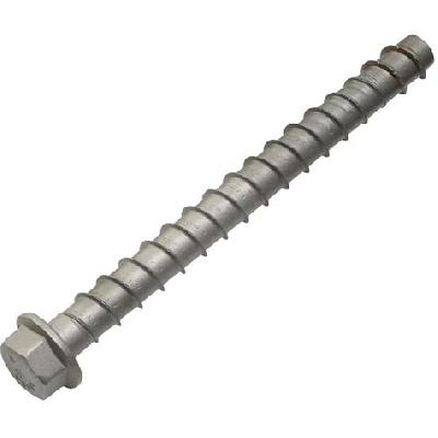 Wedge Bolt