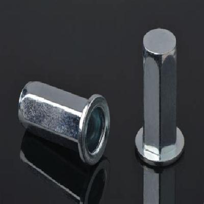 Full Hex Blind Rivet Nut