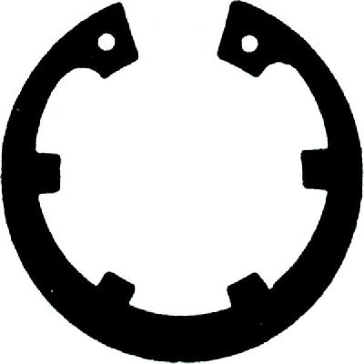 Internal K Ring DIN 984