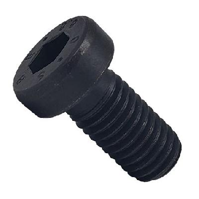 Low Head Socket Head Cap Screw