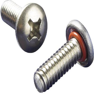 Raised Head Screw