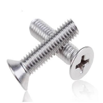 SS CSK Phillips Screw