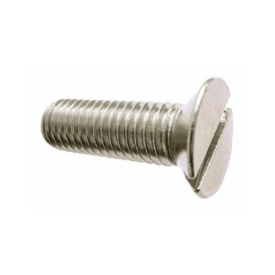 SS Csk Slotted Head Screw