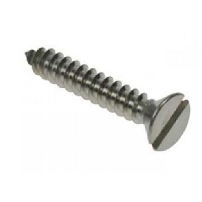 SS Csk Slotted Self Tapping Screw