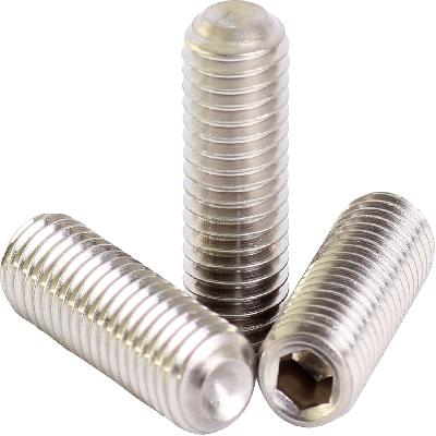 Ss Grub Screws