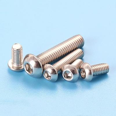 SS Mushroom Head Screw