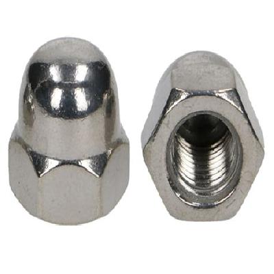 Ss Nut Cap