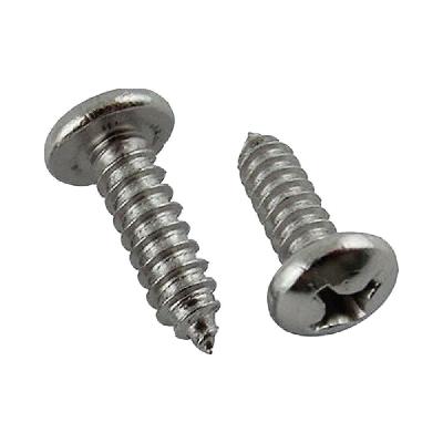SS Pan Head Screw