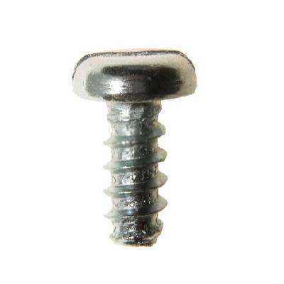 Ss Panhead Slotted Self Tapping Screw