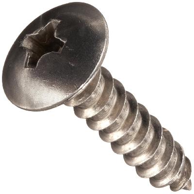 SS Screws
