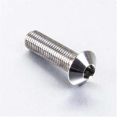 STAINLESS STEEL DOME BOLT