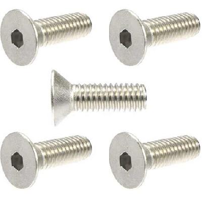 Stainless Steel Socket Countersunk Head Screw