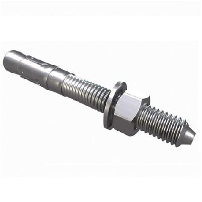Stainless Steel Through Anchor Bolt
