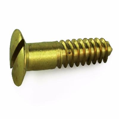 Brass Slot CSK Wood Screws Kit