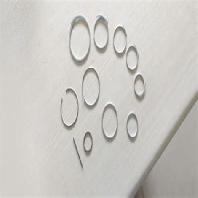 Surya Springs Retaining Ring