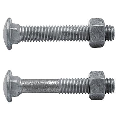 Stainless Steel Carriage Bolt