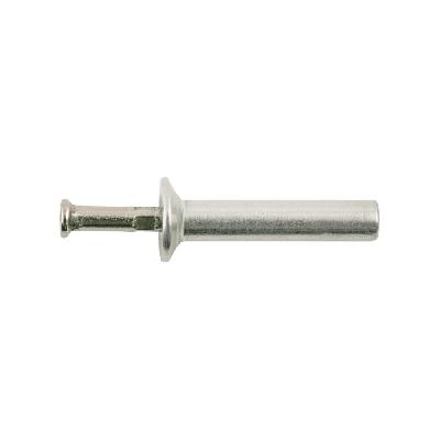 Hammer Type Metal Rivet