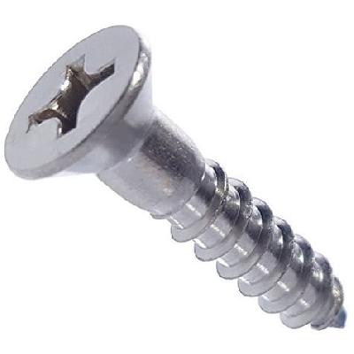 SS Flat Head Screw