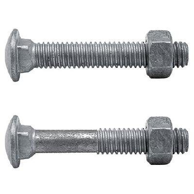 Stainless Steel Carriage Bolt