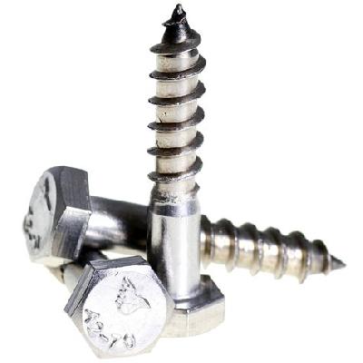 Stainless Steel Hex Head Screw