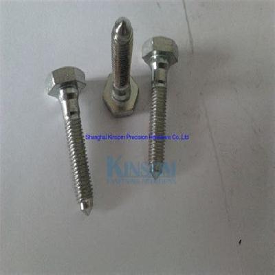 Step Bolt With Hex