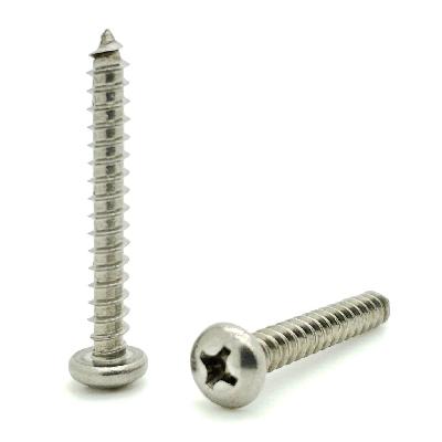 Pan Philips Head Screw