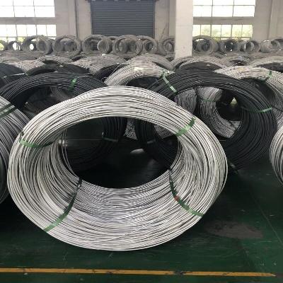 Stainless Steel Wire Rod