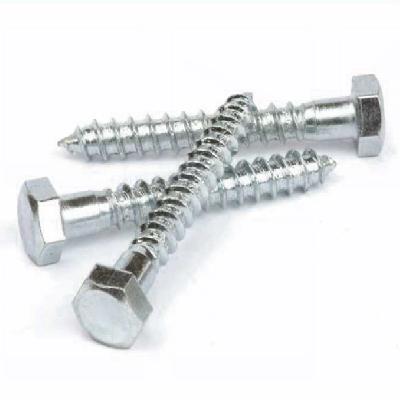 Hex Coach Screws
