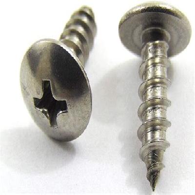Truss Head Screws