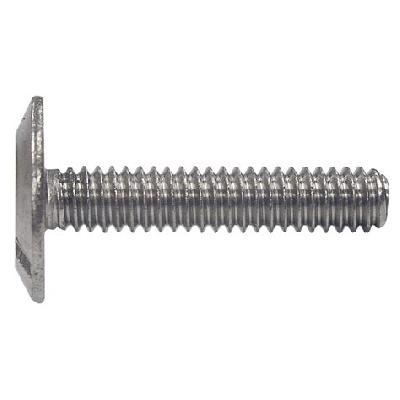 Wafer Head Screws