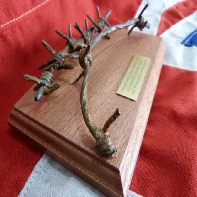 Barbed Wires