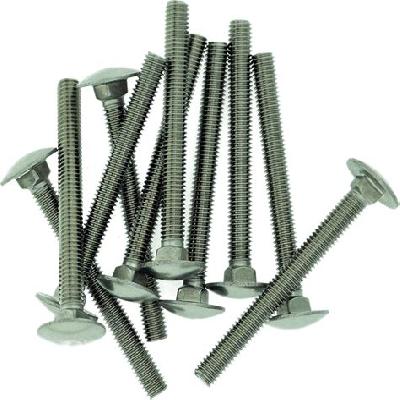55mm Stainless Steel Carriage Bolt