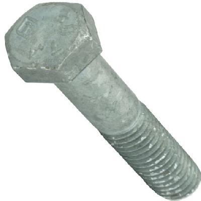 Galvanized Bolt