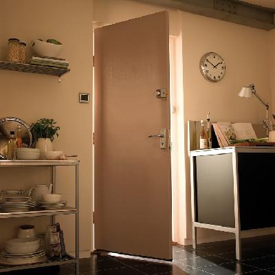 Exterior Plywood Door