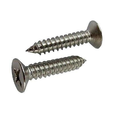 Self Tapping Screw