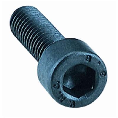 Allen Screw