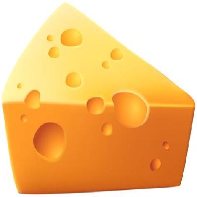 Cheese  Head